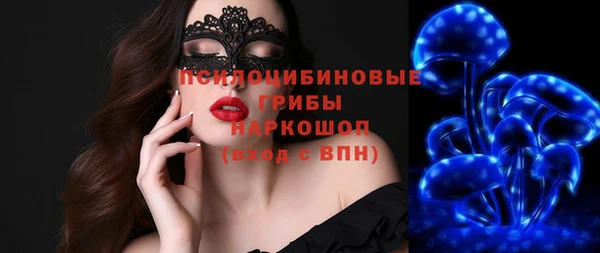 тгк Арсеньев