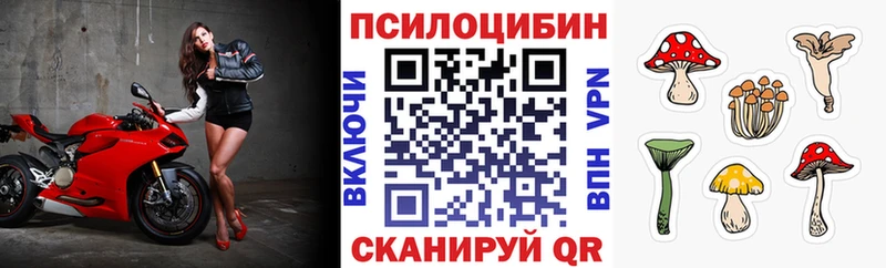 мега сайт купить наркотики сайты Белоусово Псилоцибиновые грибы прущие грибы
